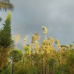 Drushya Plantation Farm Stay Chikmagalur