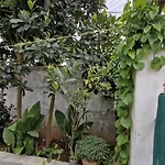 Malgudi Mane Homestay