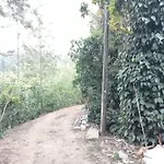 Patel Homestay Ebm