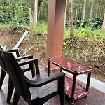 Shadow