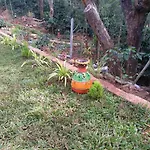 Chittara Homestay