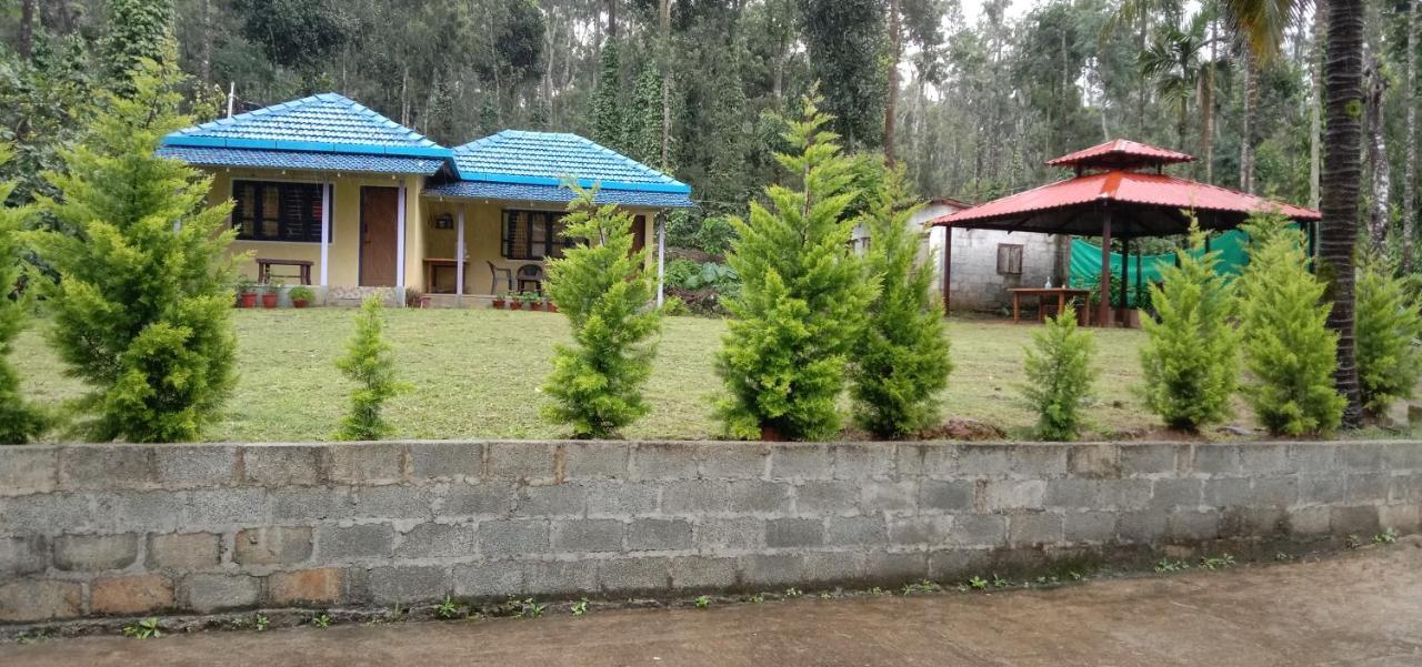 Vibes Homestay
