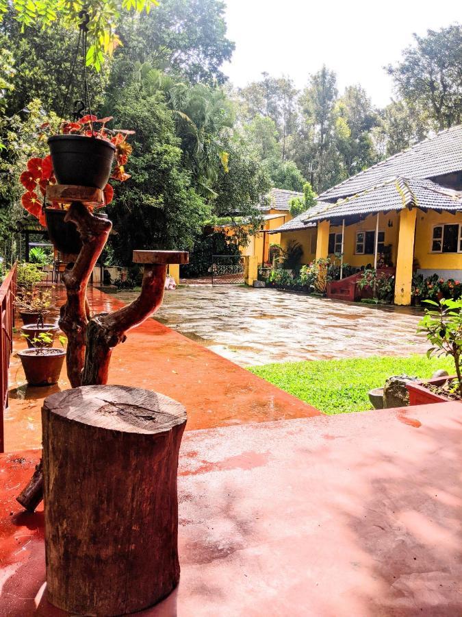 Guddadamane Homestay *
