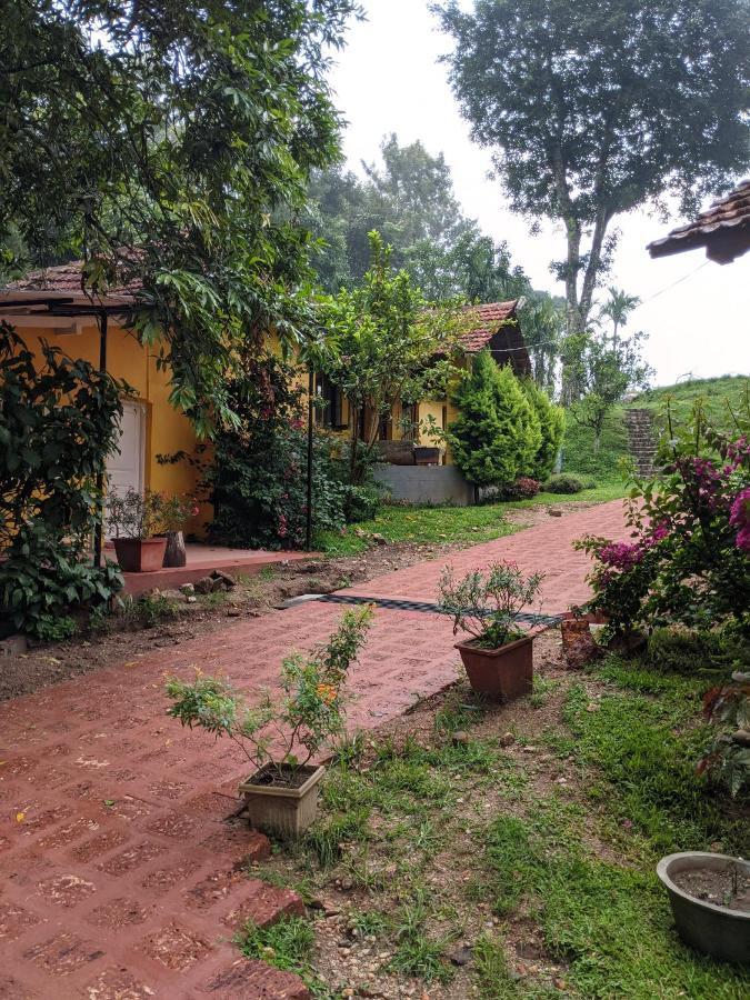 Homestay Guddadamane Chikmagalur