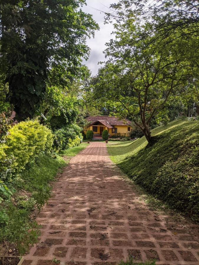 Homestay Guddadamane