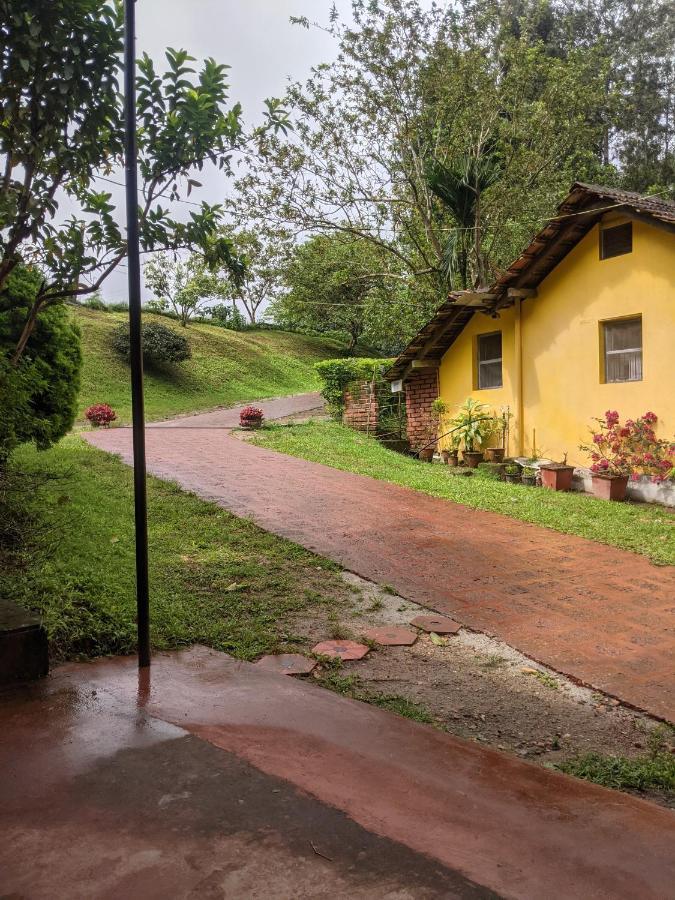 Homestay Guddadamane Chikmagalur