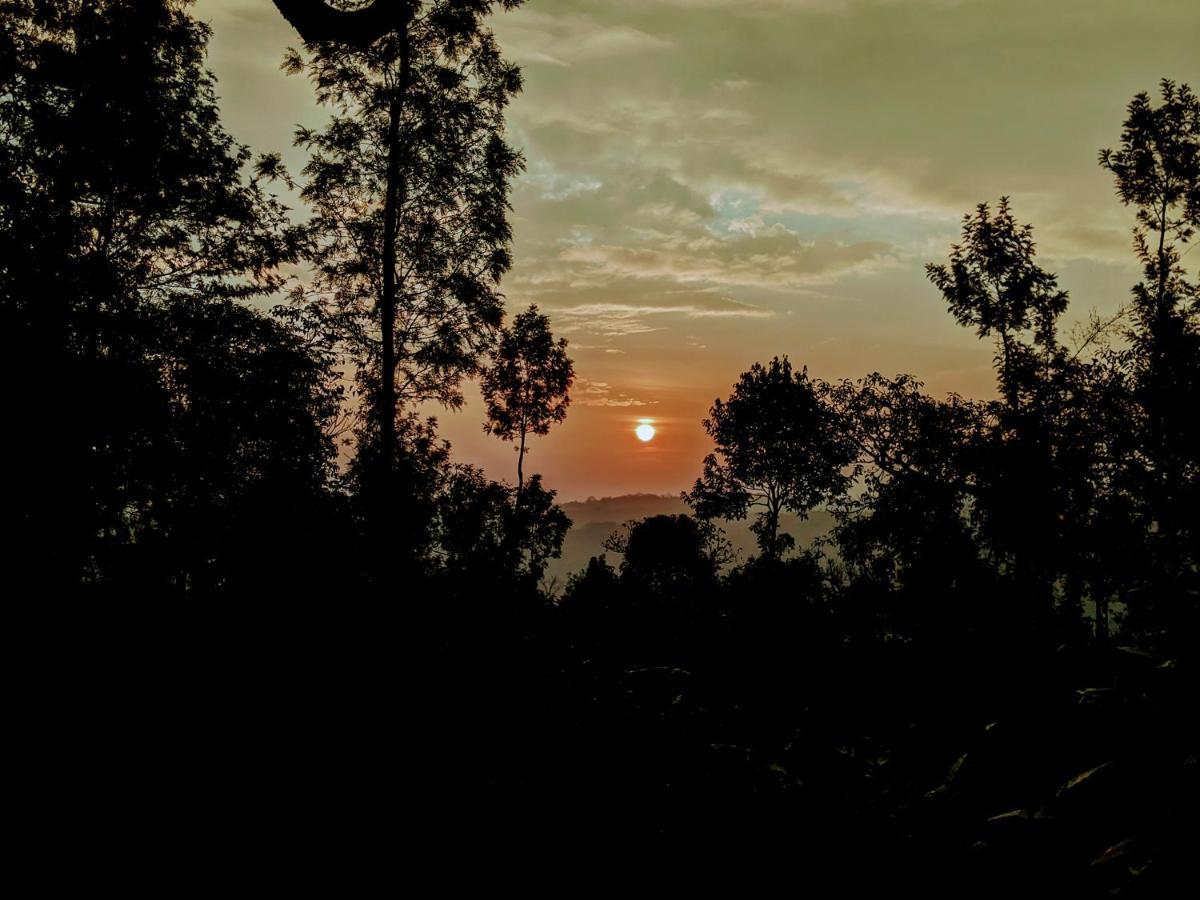 Guddadamane Chikmagalur