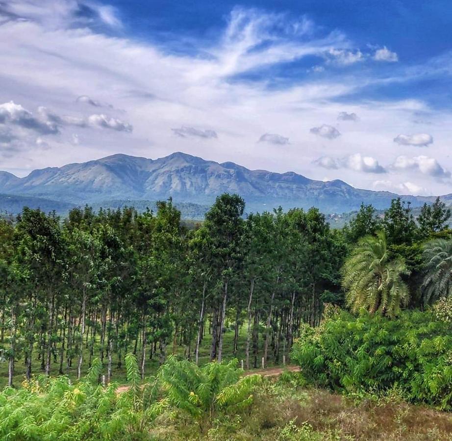 Halenahalli Chikmagalur