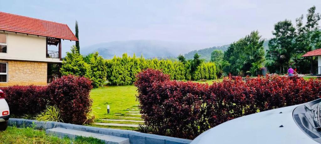 7 Heaven & * Chikmagalur