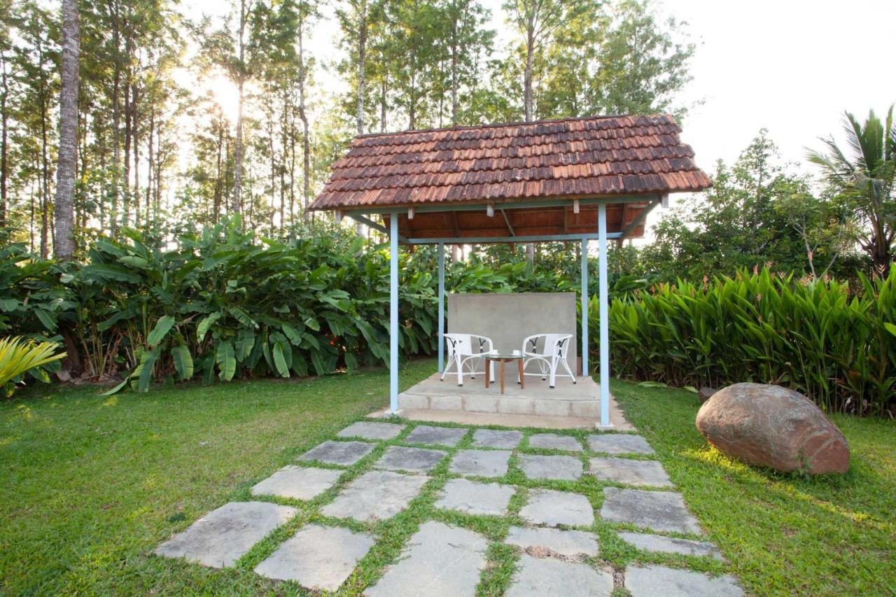 Stayvista At Cedar - Strelitzia 2bhk With Breakfast And Jacuzzi Villa Chikmagalur