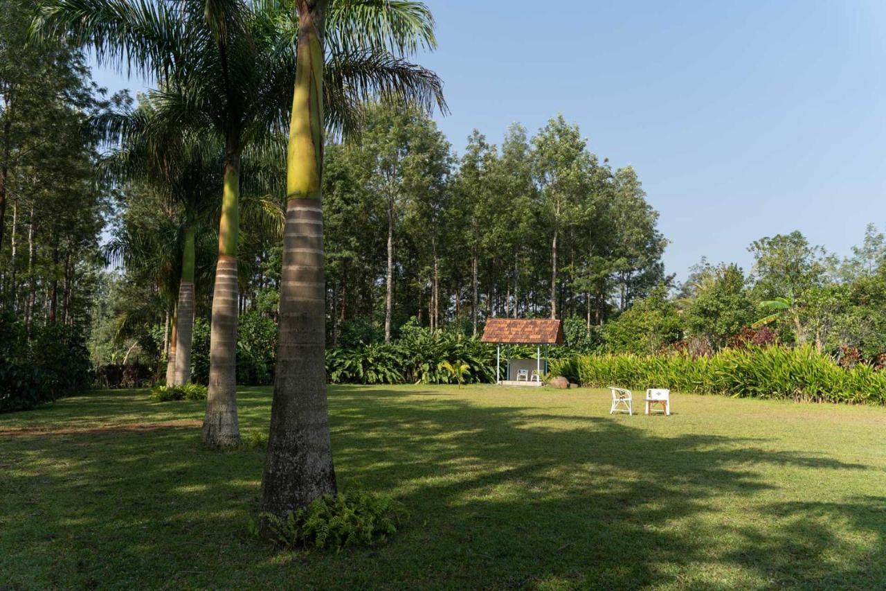 Stayvista At Cedar - Strelitzia 2bhk With Breakfast And Jacuzzi Villa Chikmagalur