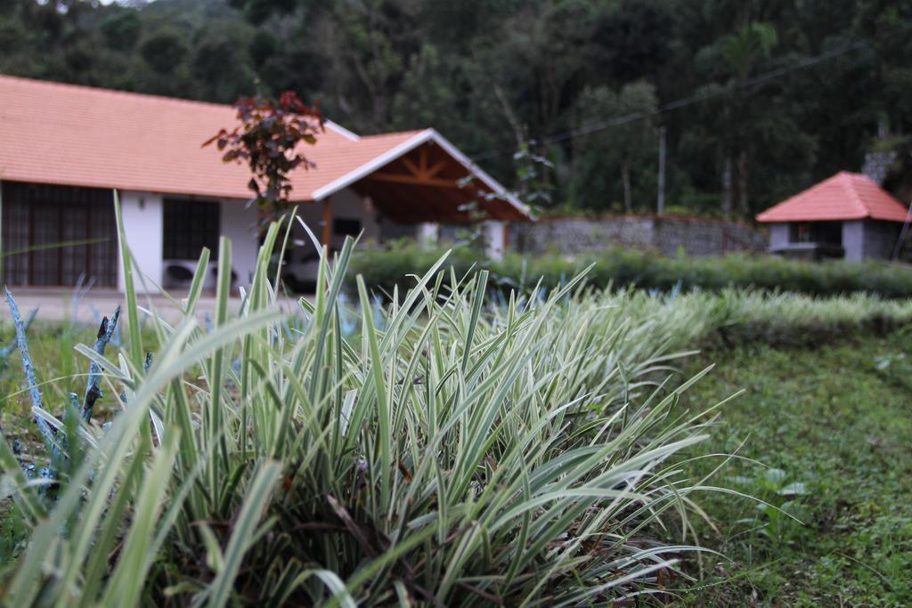 Farm stay The Sattva Nature Retreat Chikmagalur