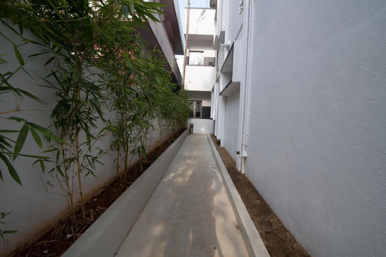 Kanasu Stayhome