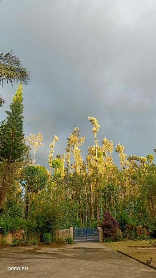 Drushya Plantation Farm Farm stay Chikmagalur