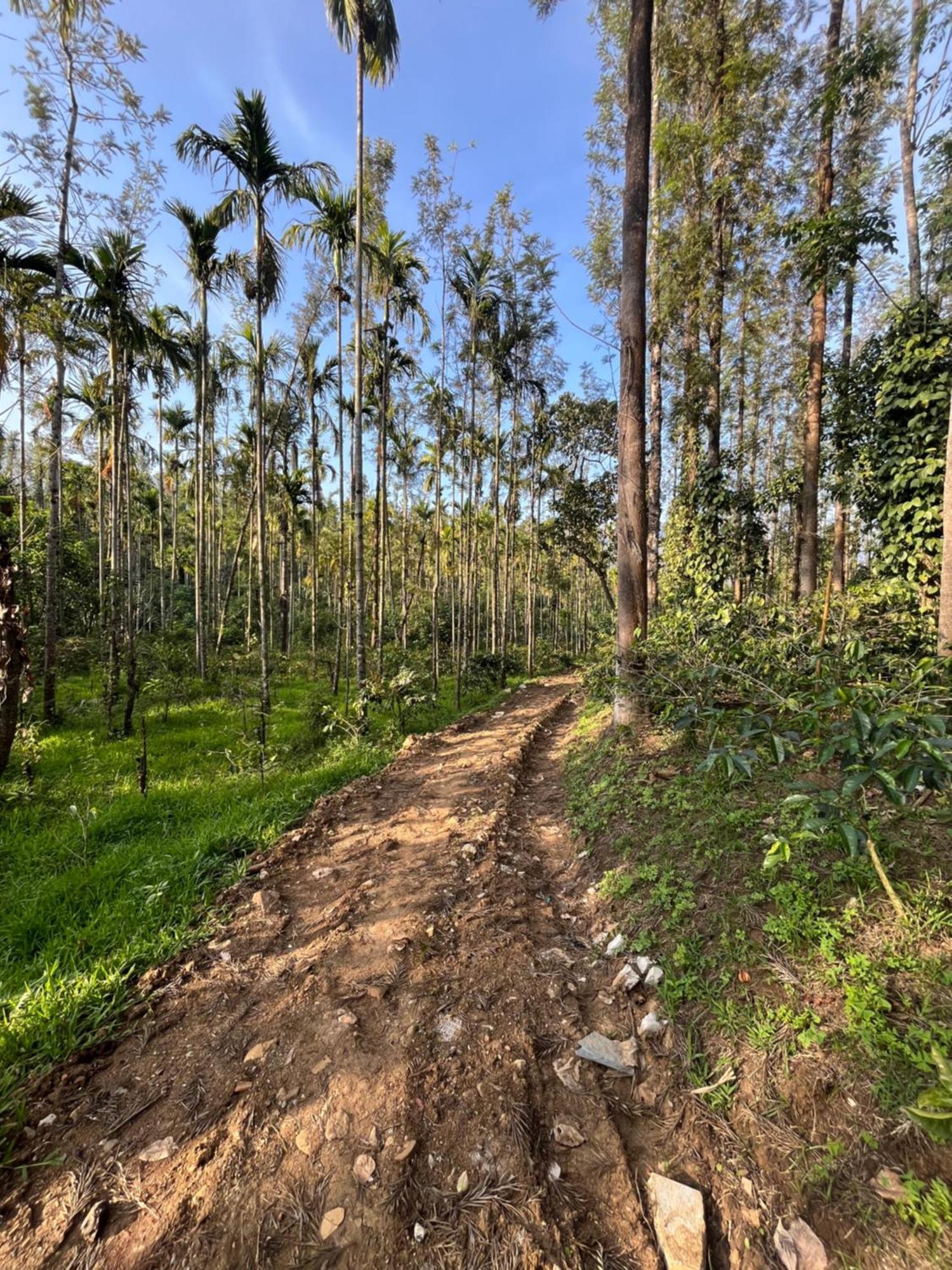 Ayush Nature View