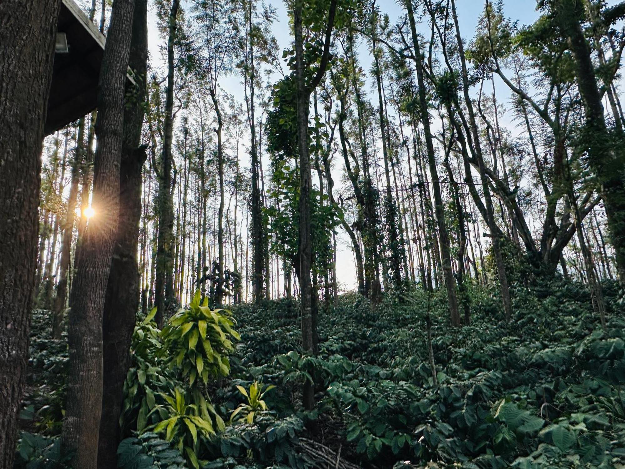 Janani Eco