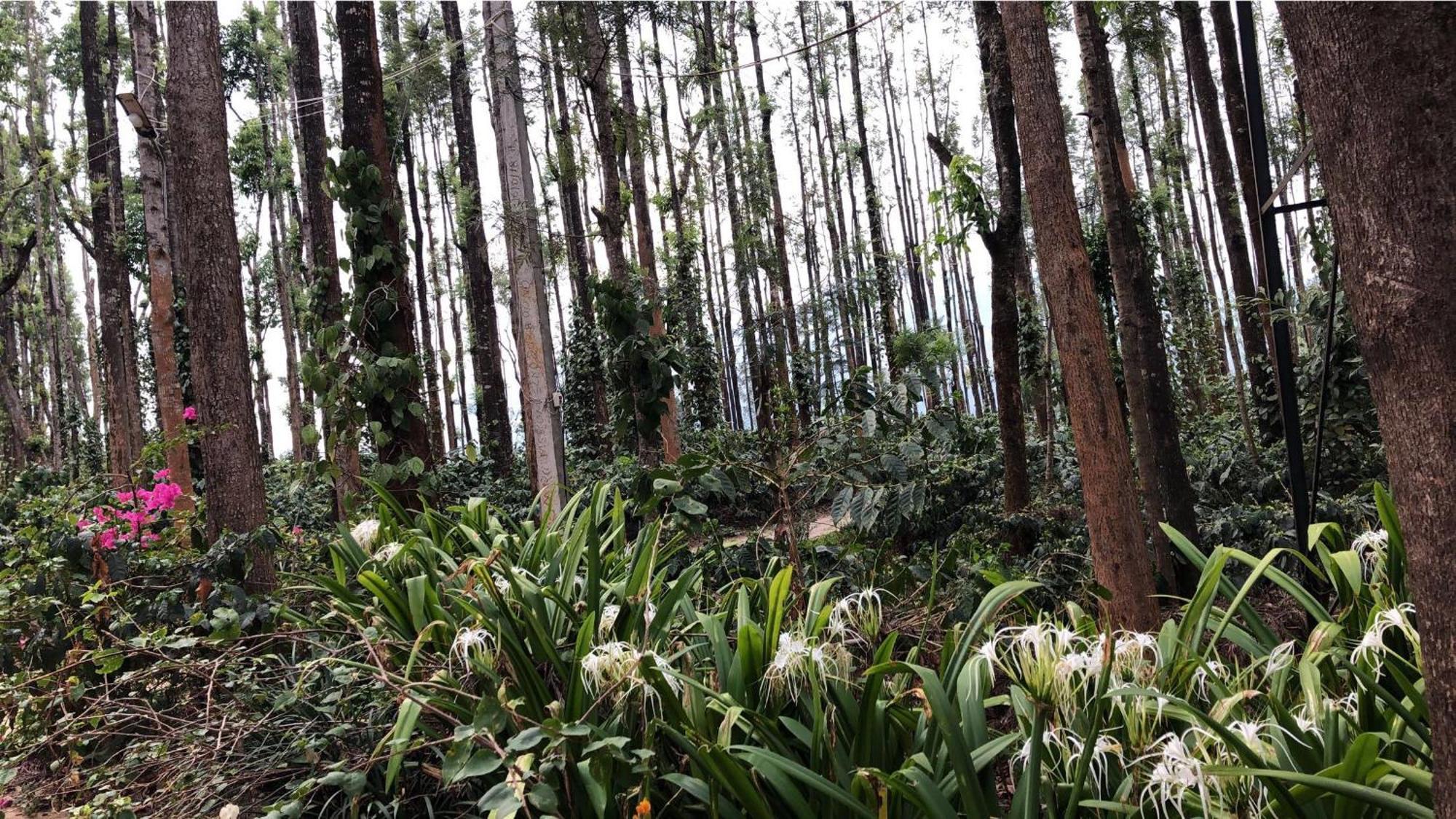 Janani Eco Homestay