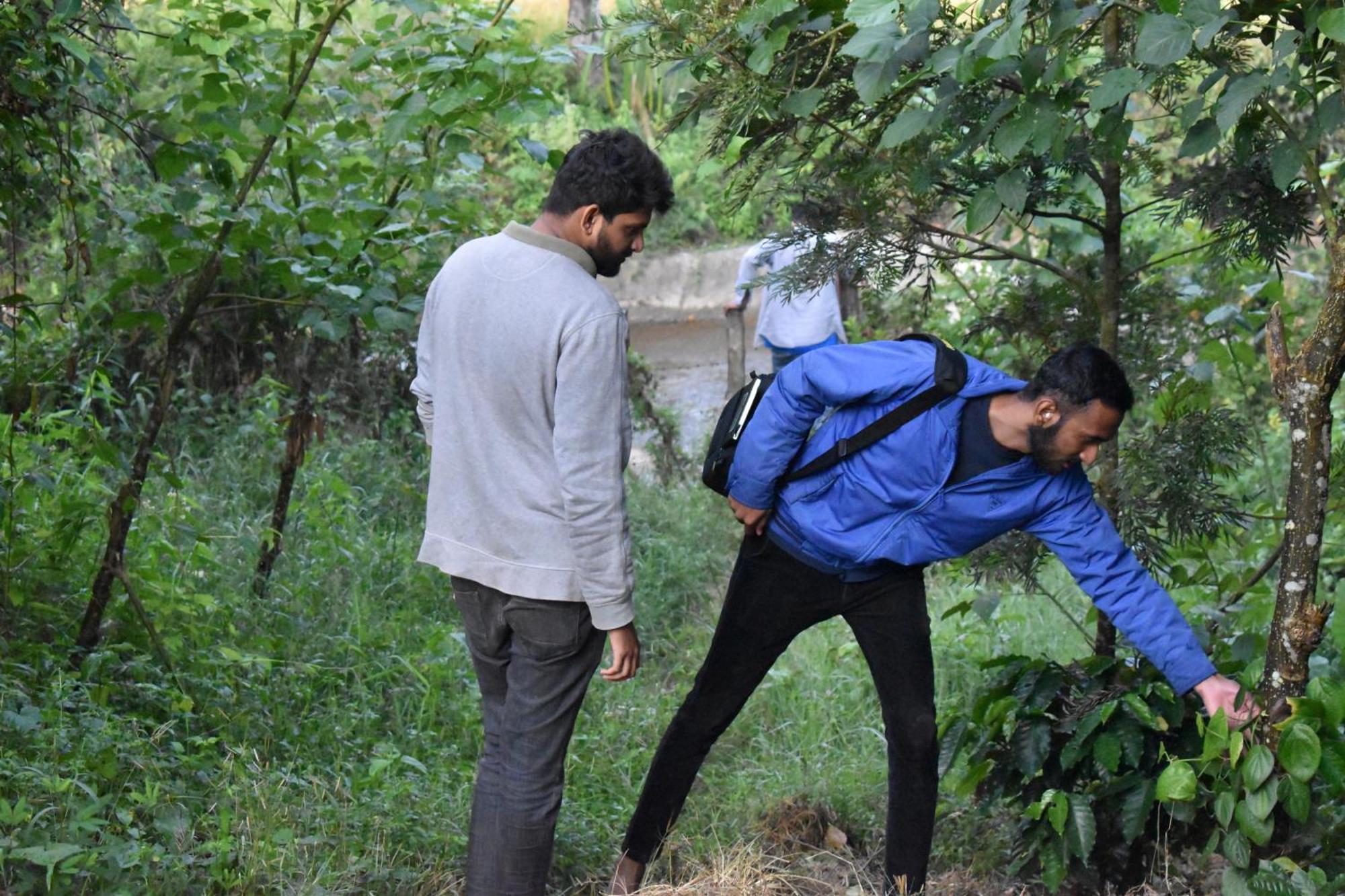 Homestay Borrbo Nests Chikmagalur, Astagiri
