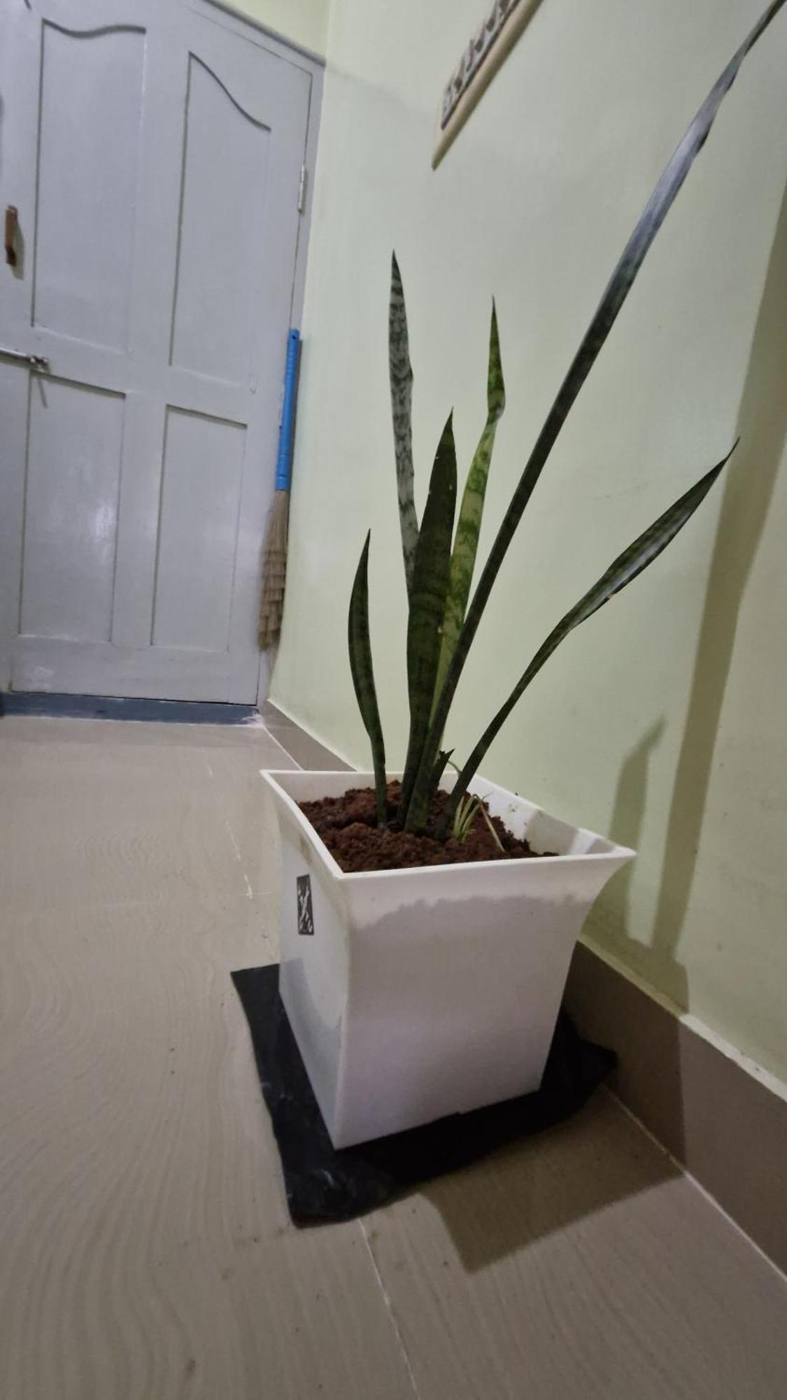 Holiday home Malgudi Mane Chikmagalur