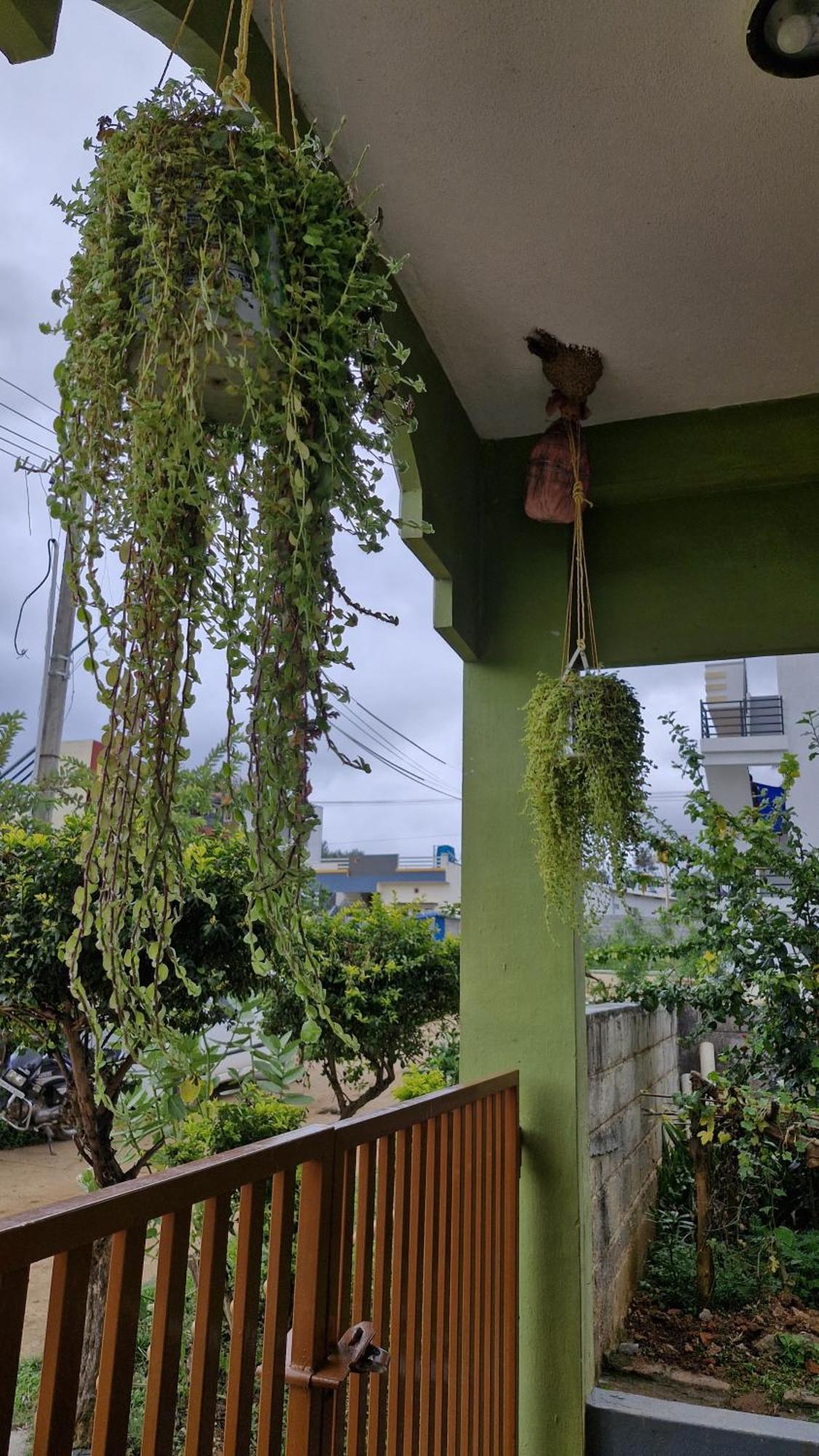 Malgudi Mane Holiday home Chikmagalur