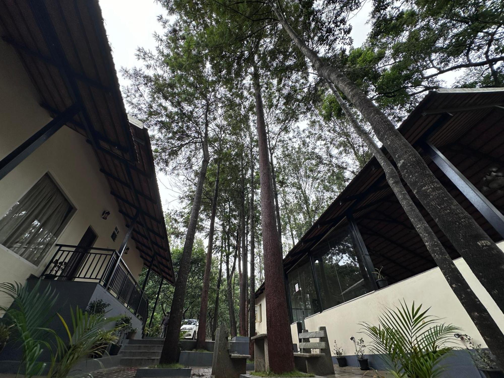 Janani Eco Homestay Chikmagalur