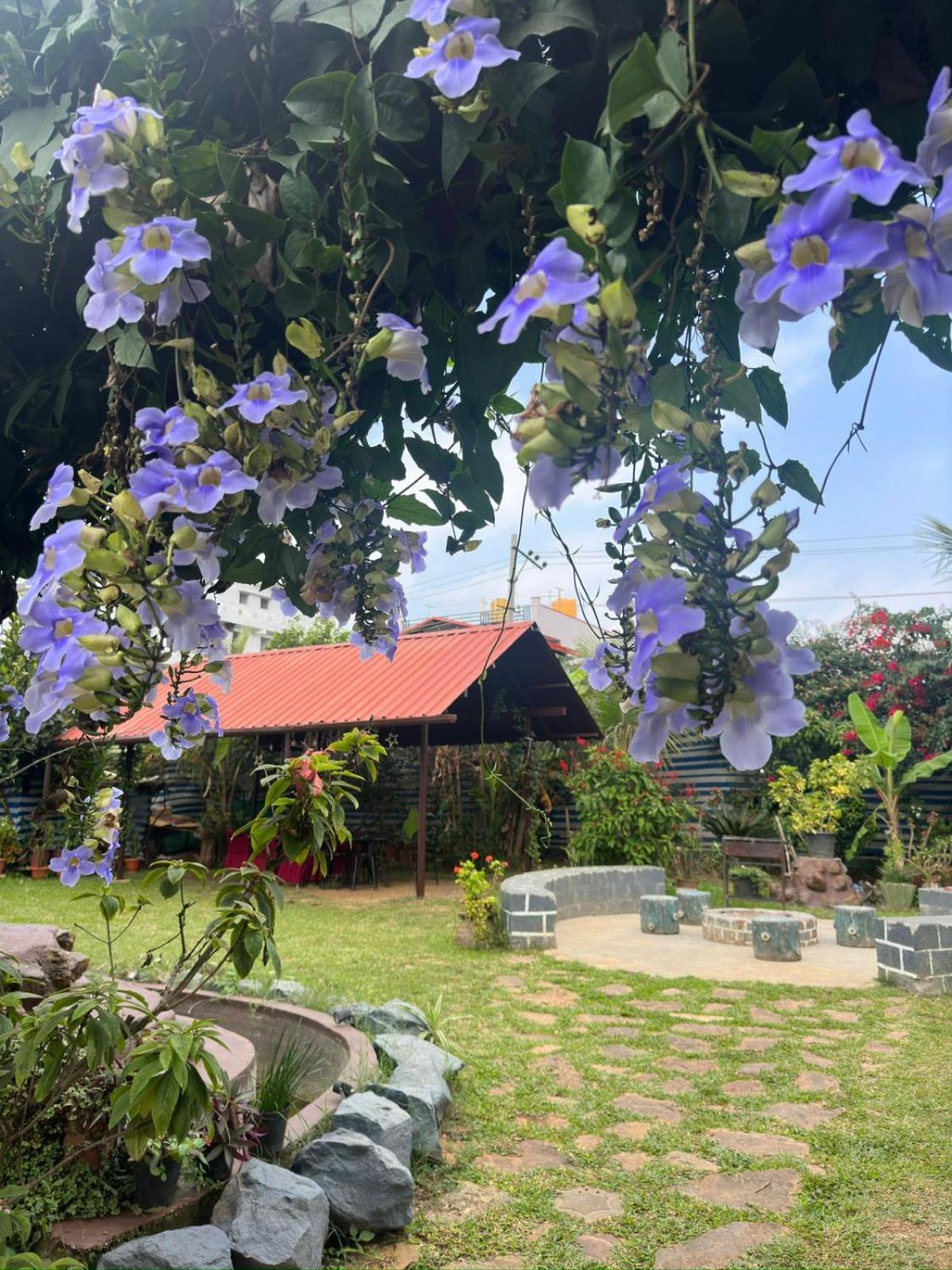 Mountain Valley Homestay