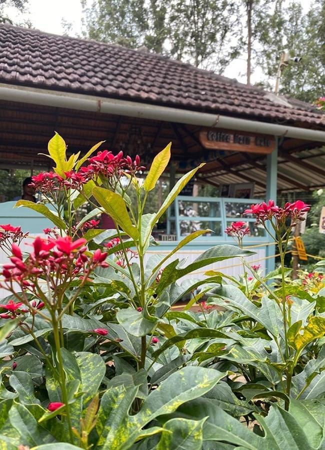 Homestay Halli Berri