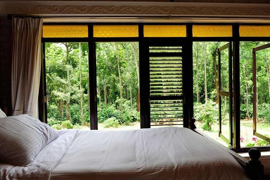Homestay Halli Berri