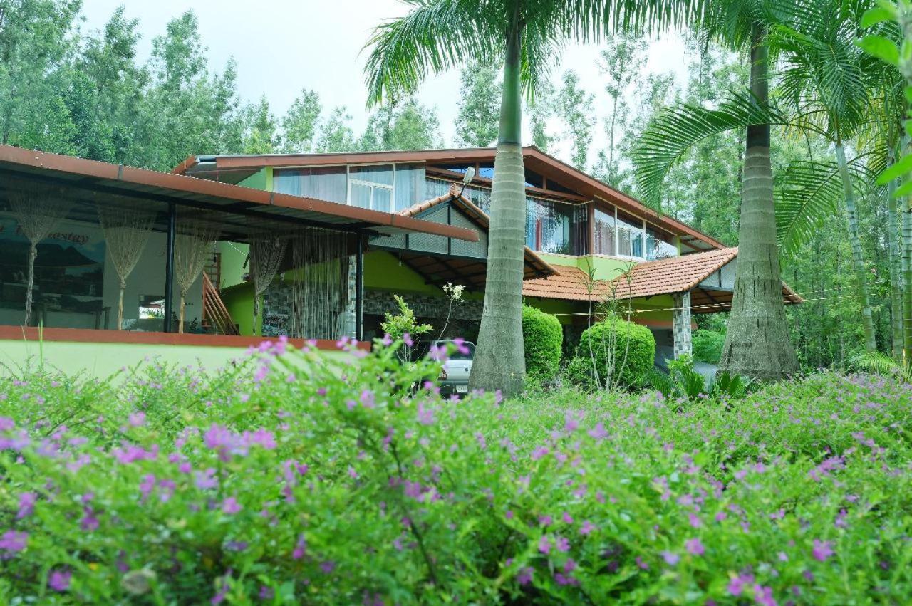 Homestay Hill Shadow - Mountain View And Swimming Pool