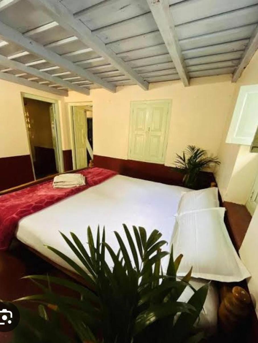 Flower Homestay