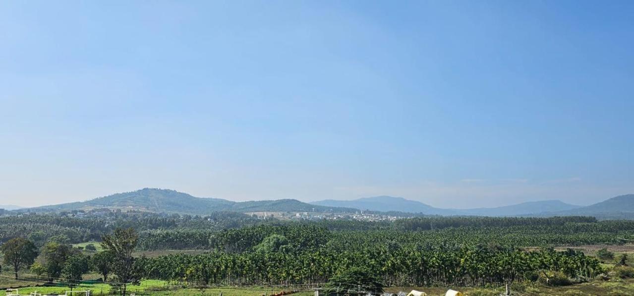 Suraksha Residency Apartment *