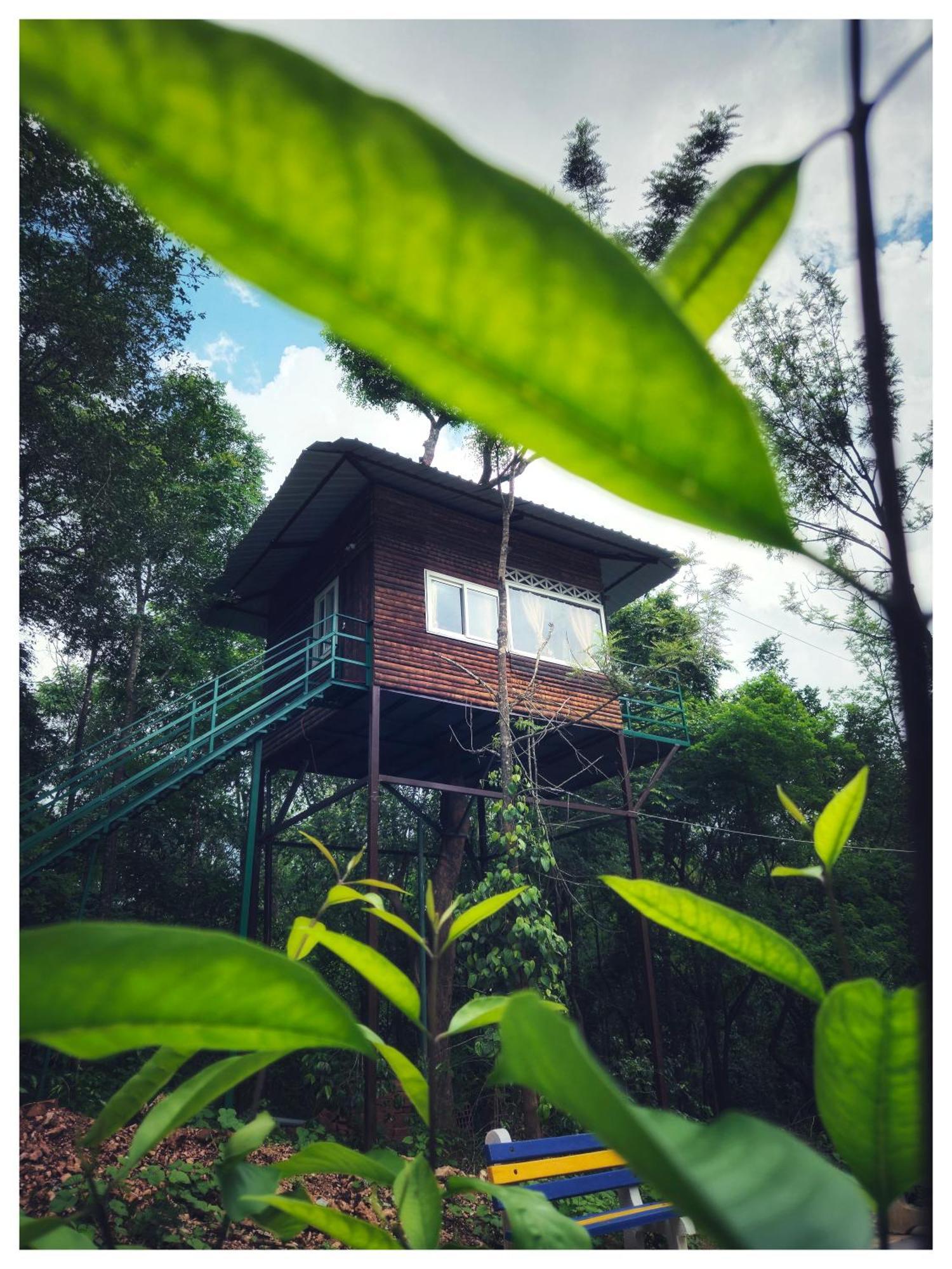 Devigiri And Homestay Chikmagalur
