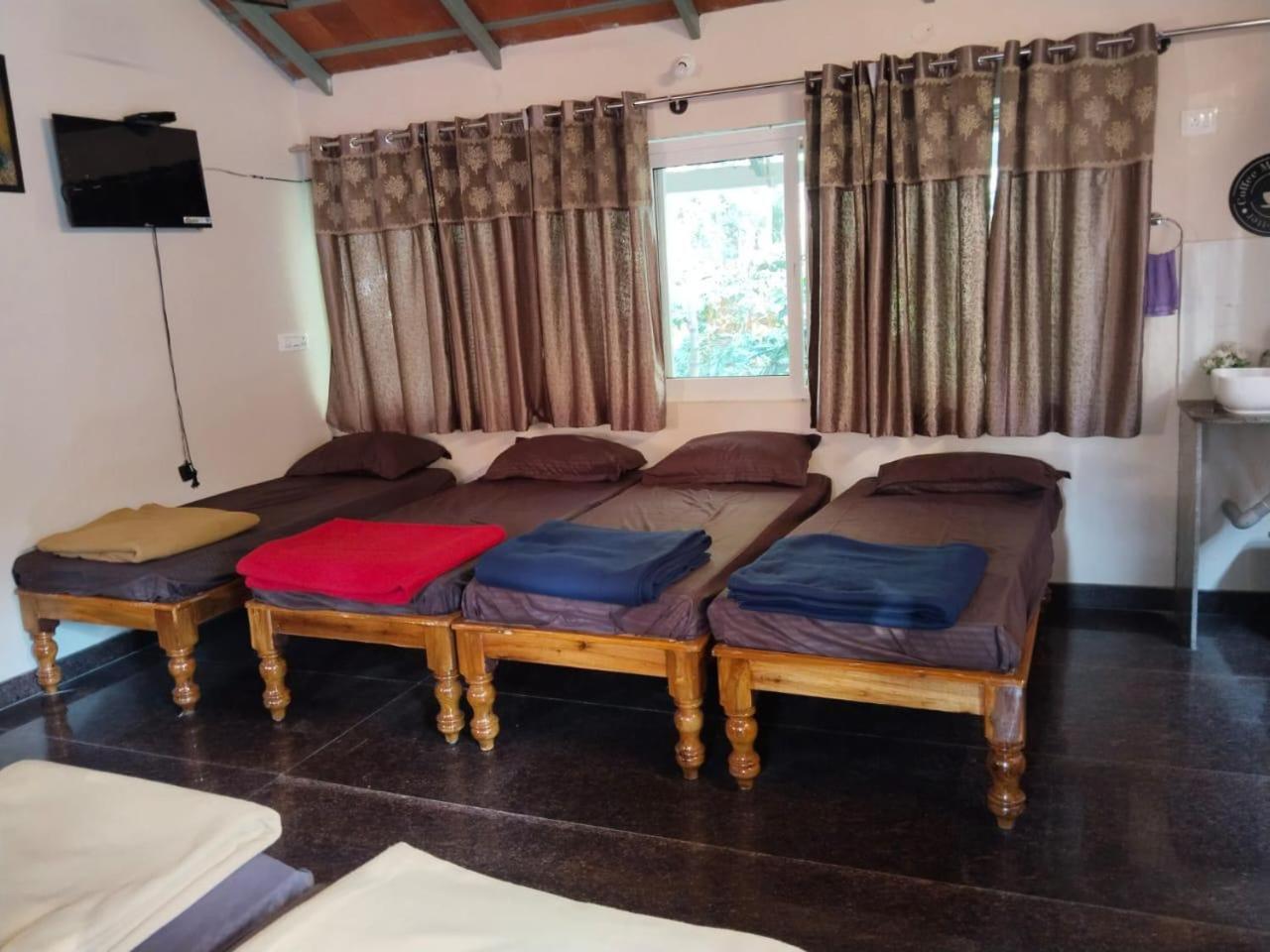 Campsite Shadow Chikmagalur