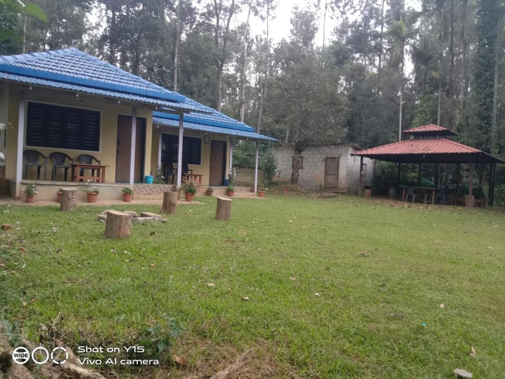 Vibes Chikmagalur