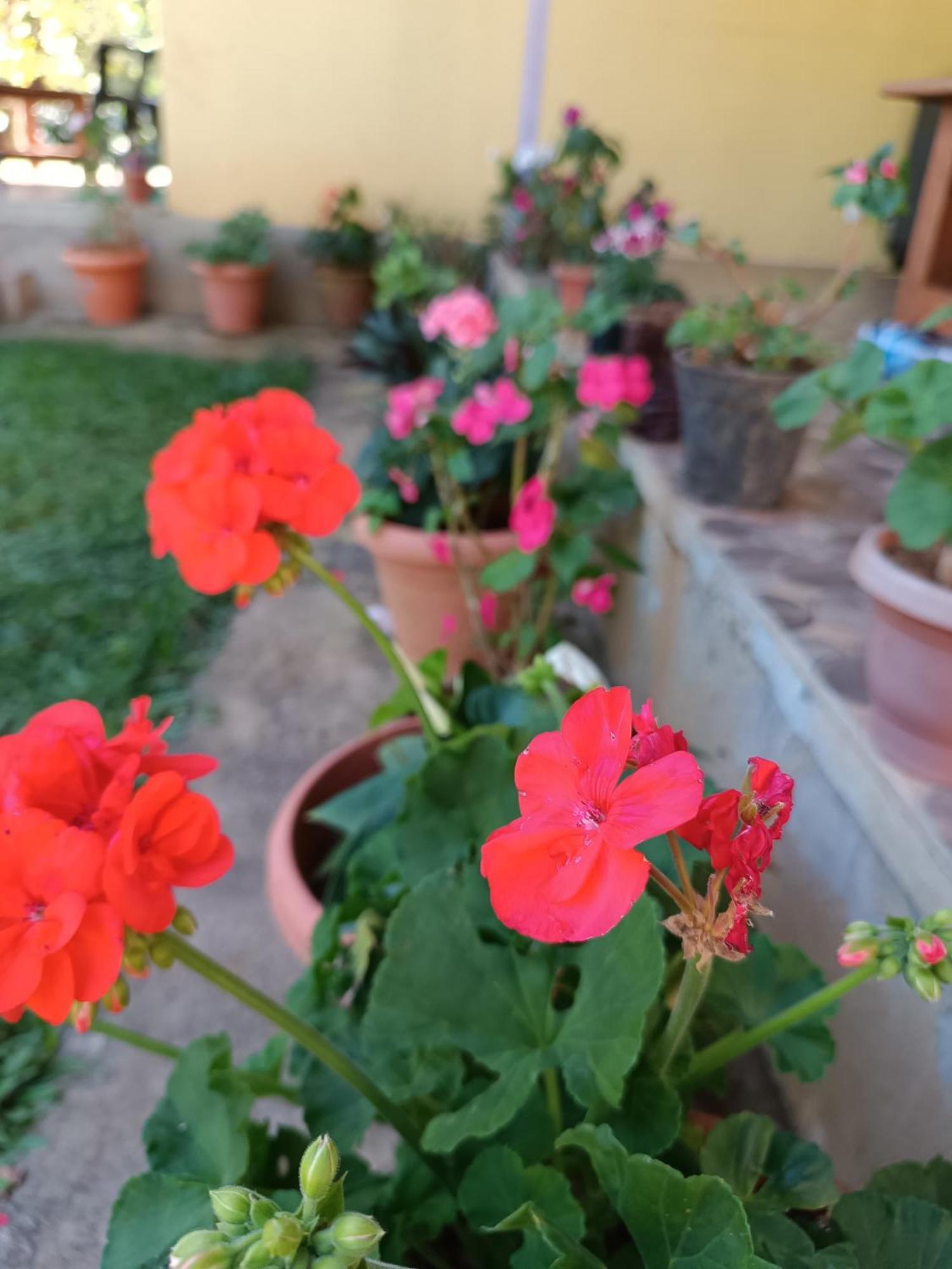 Vibes Homestay