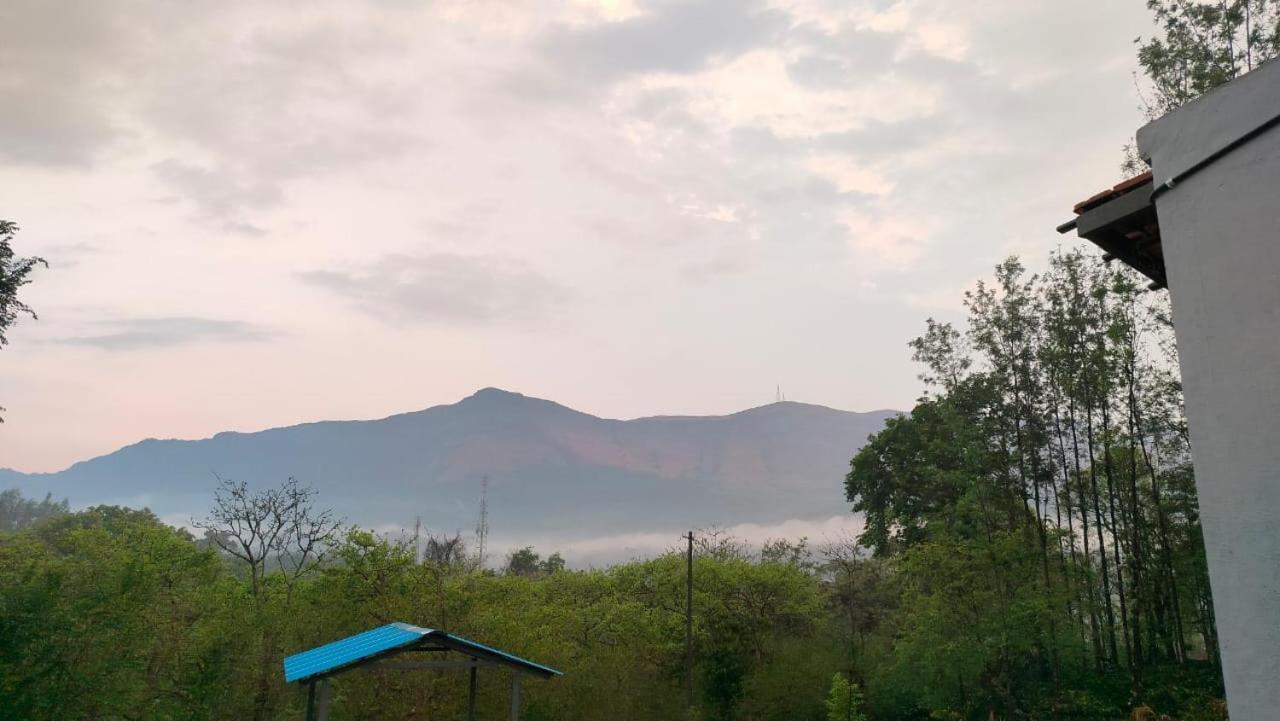 Coffee Cozy Homestay