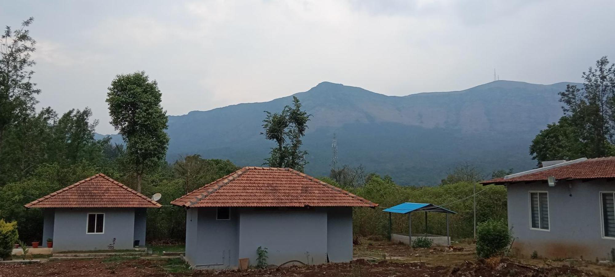 Coffee Cozy Chikmagalur