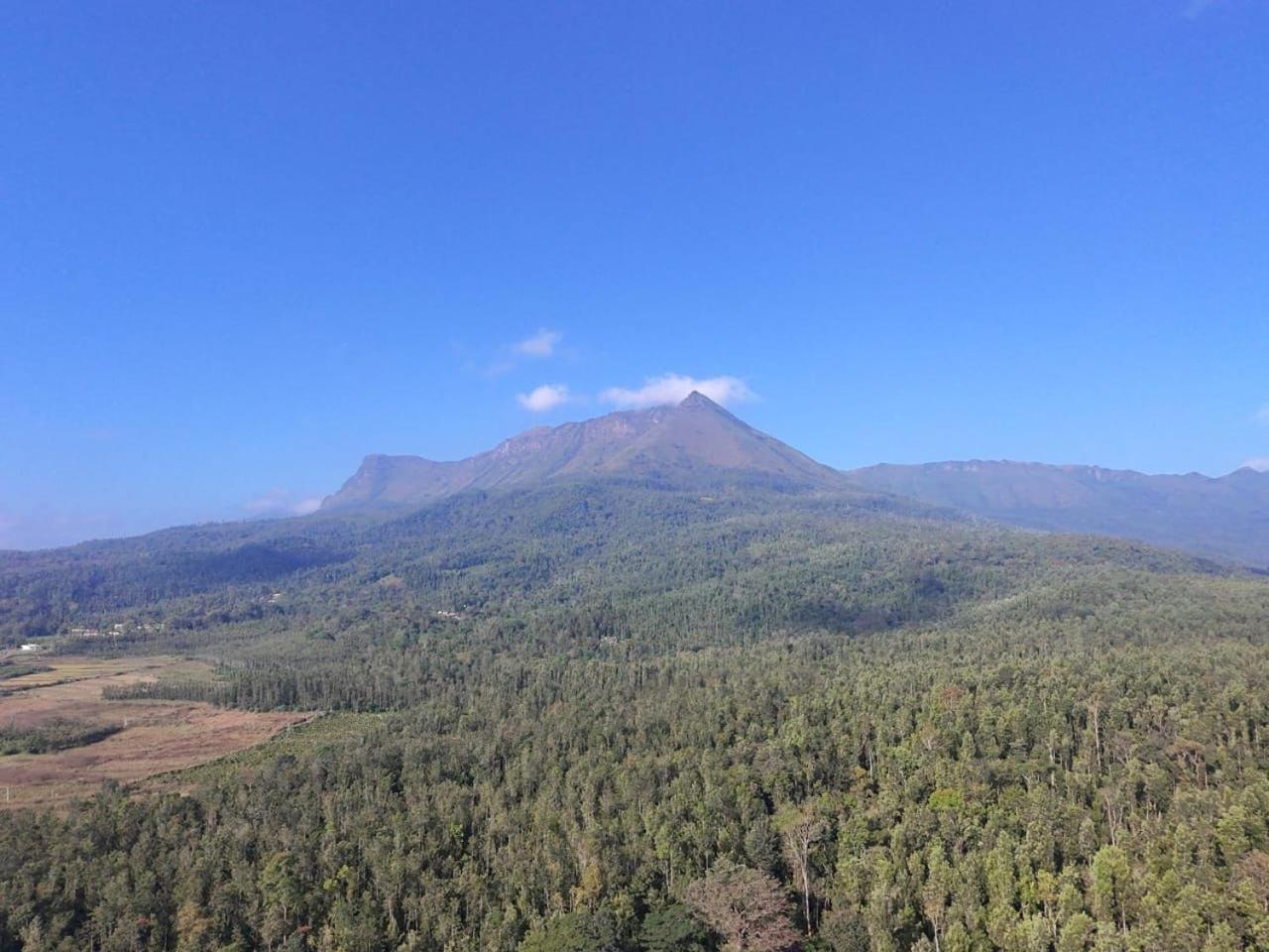 Hill Shadow - Mountain View And Swimming Pool Homestay Chikmagalur