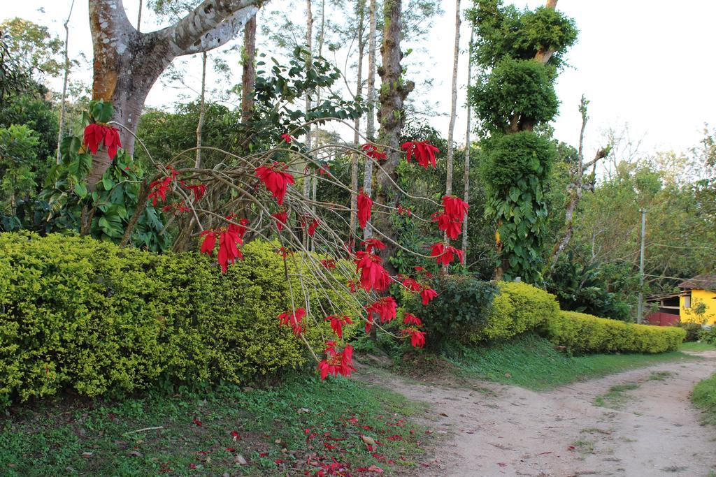 Guddadamane Chikmagalur