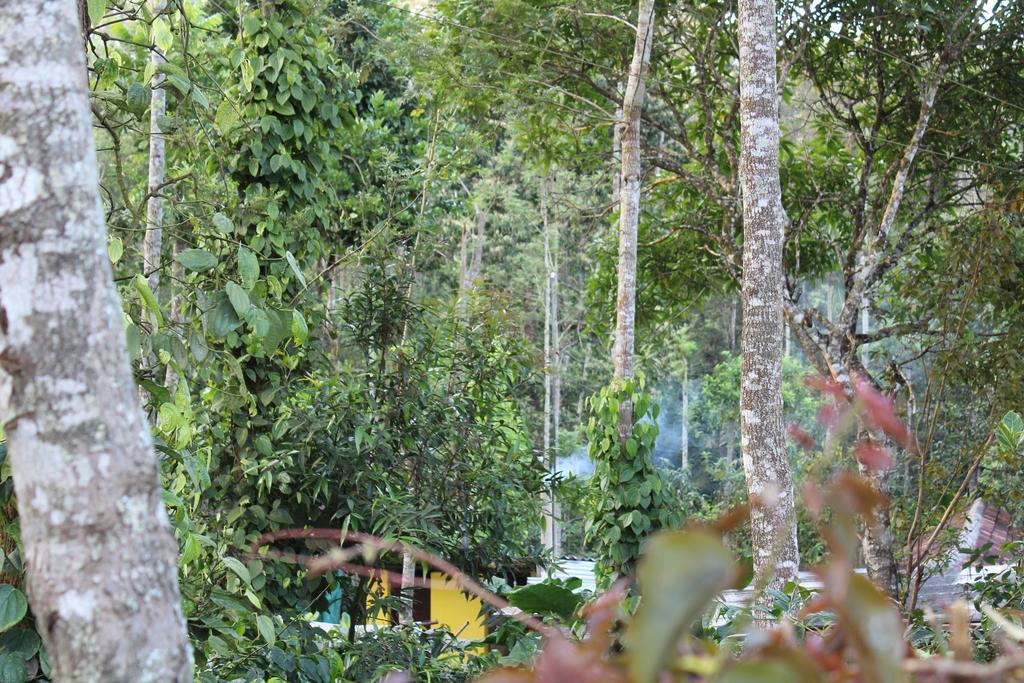 Guddadamane Homestay