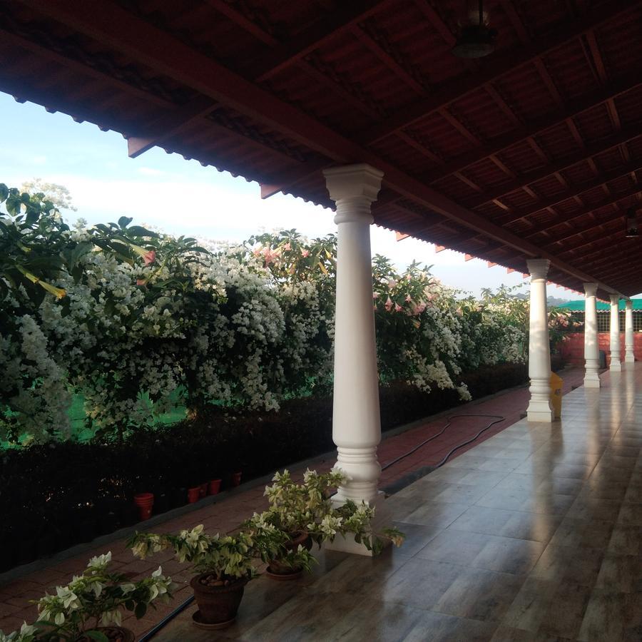 Bougainvillea Homestay