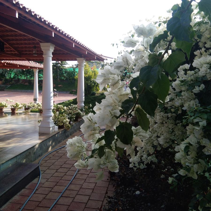 Homestay Bougainvillea Homestay