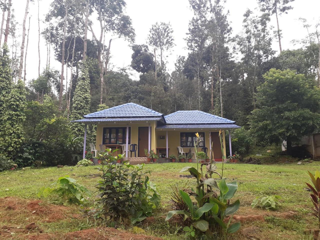 Homestay Vibes