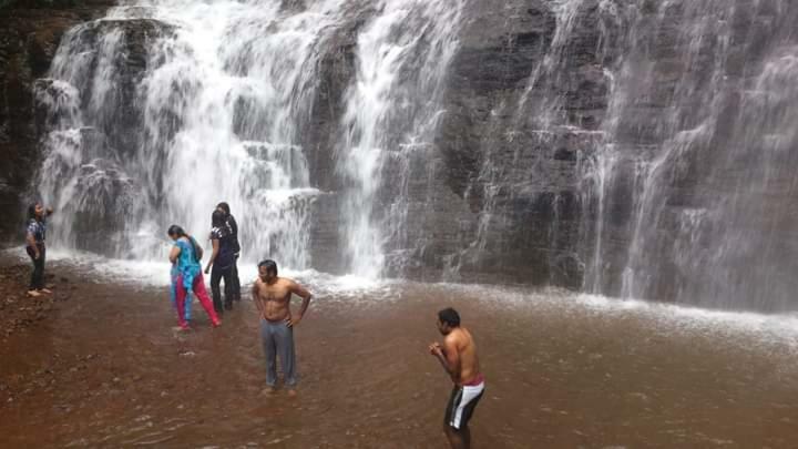 Vamoose Clover Leaf Chikmagalur