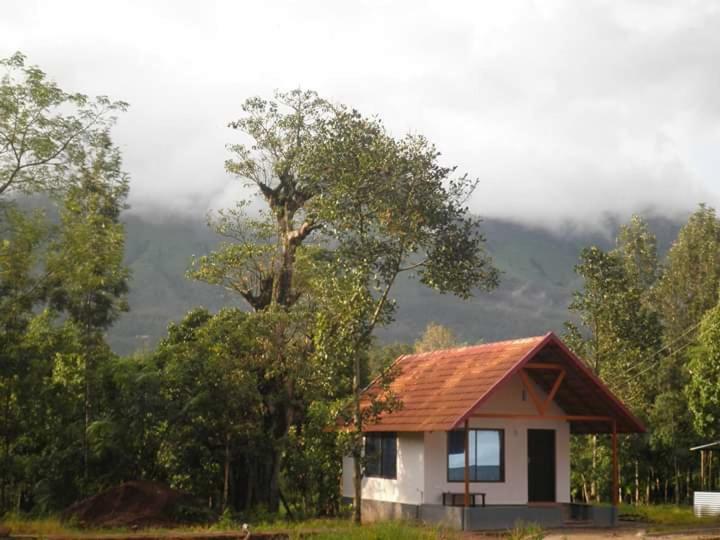 Vamoose Clover Leaf Homestay *