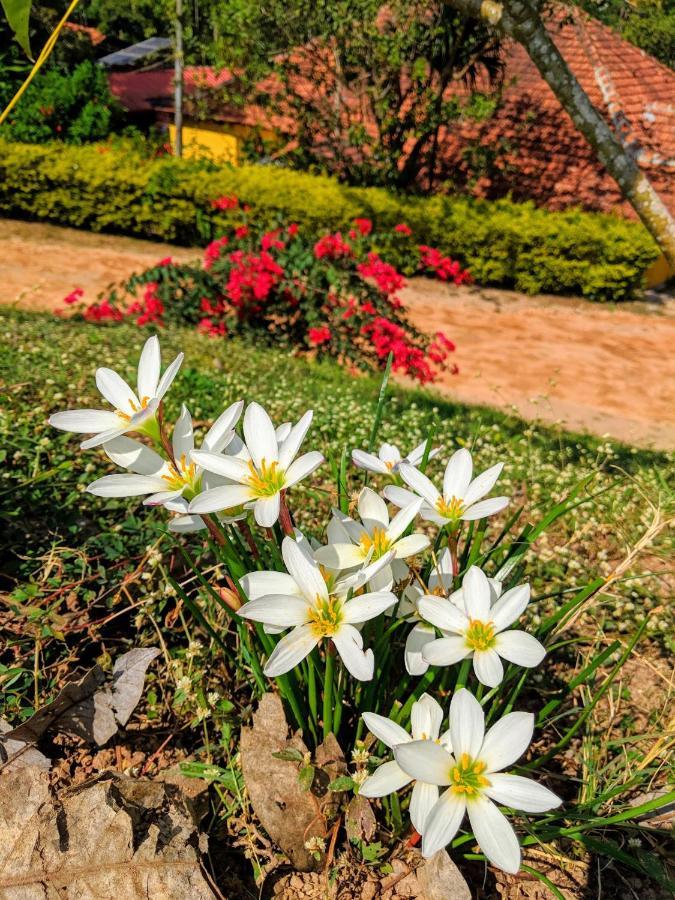 Guddadamane Homestay Chikmagalur