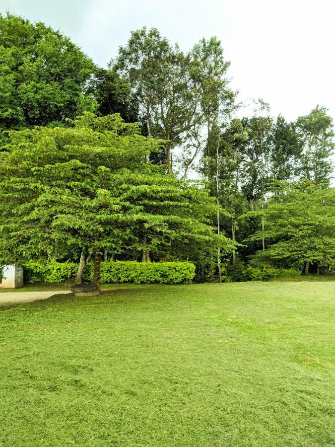 Guddadamane Homestay