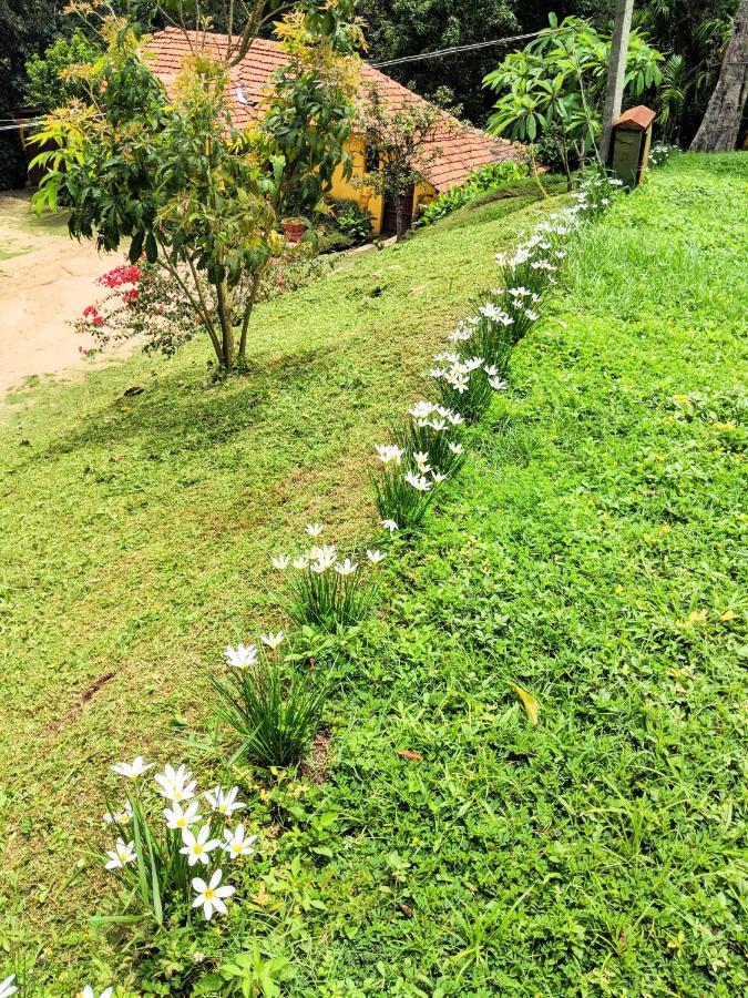 Guddadamane Homestay Chikmagalur