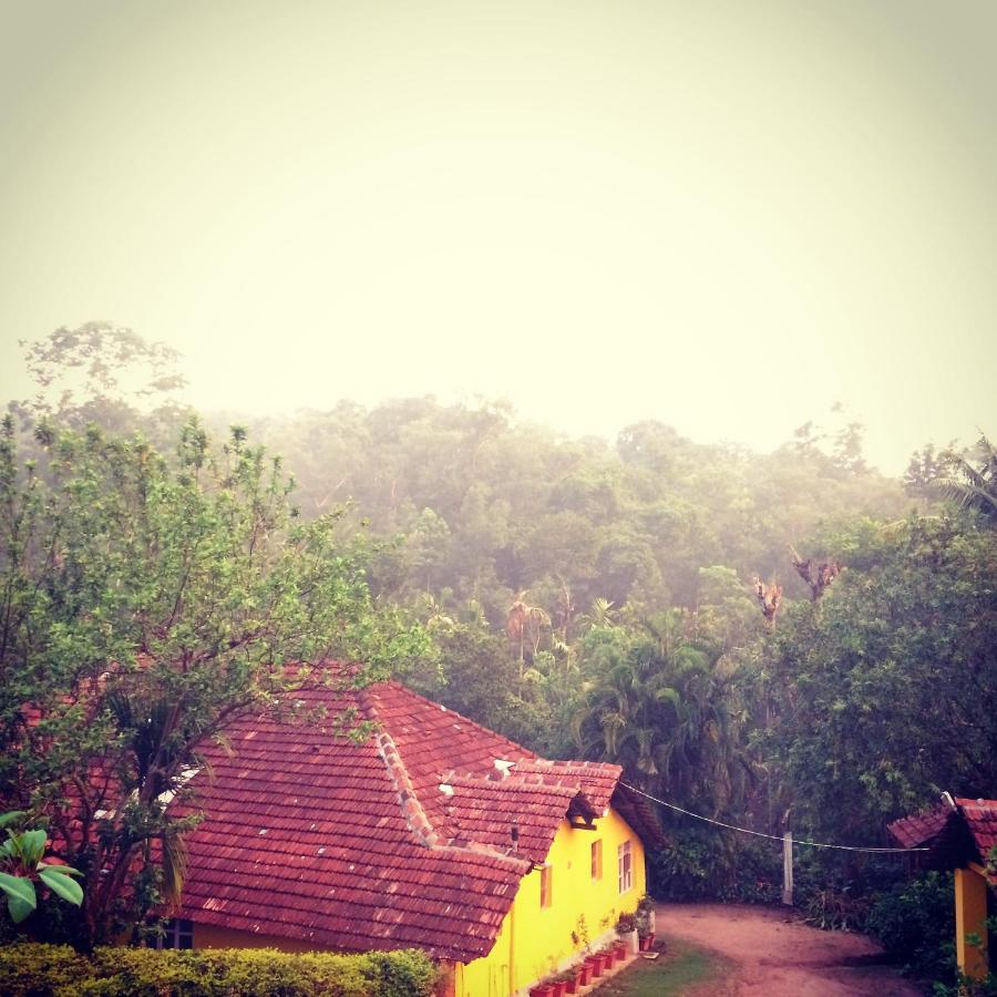 Guddadamane