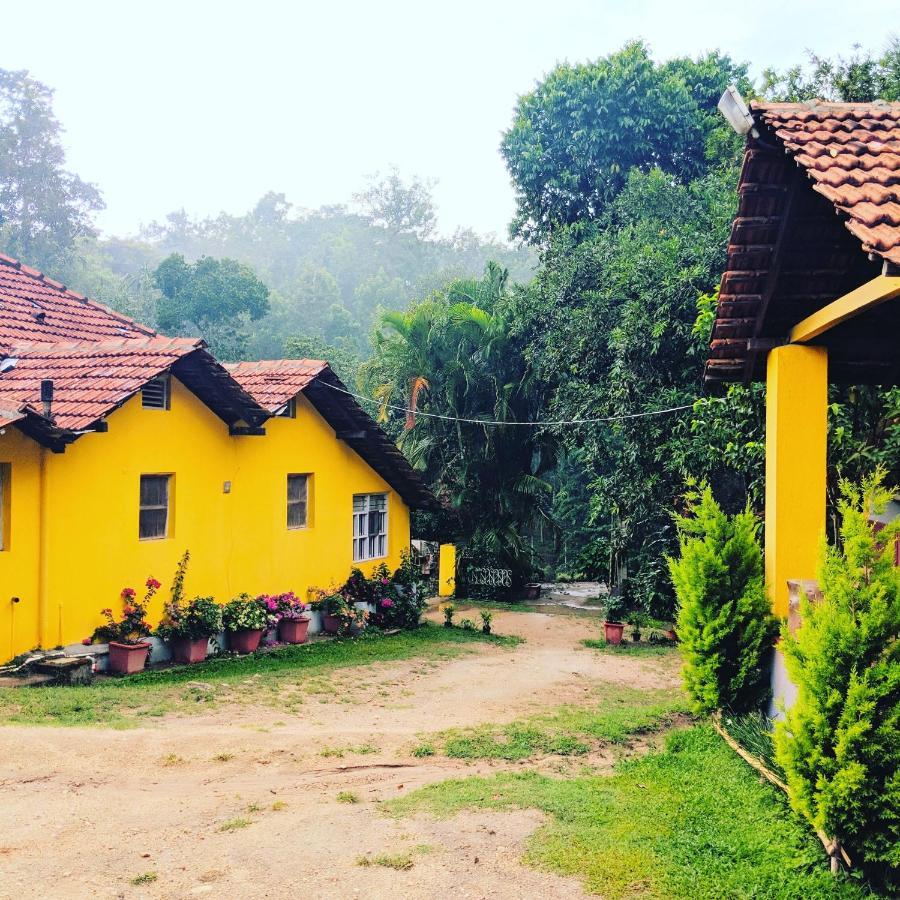 Homestay Guddadamane